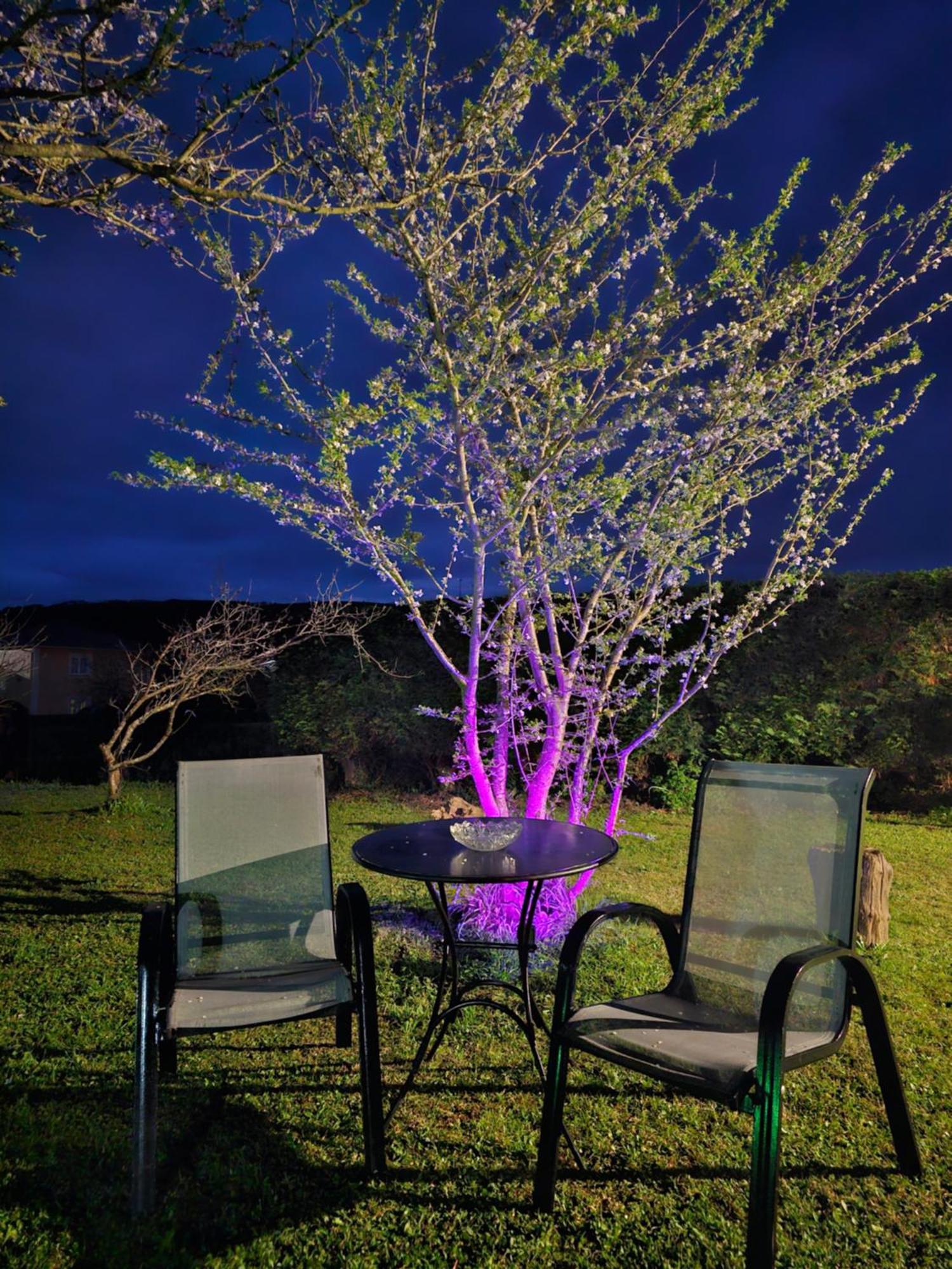 Apartamentos Castello Cartavio Екстериор снимка