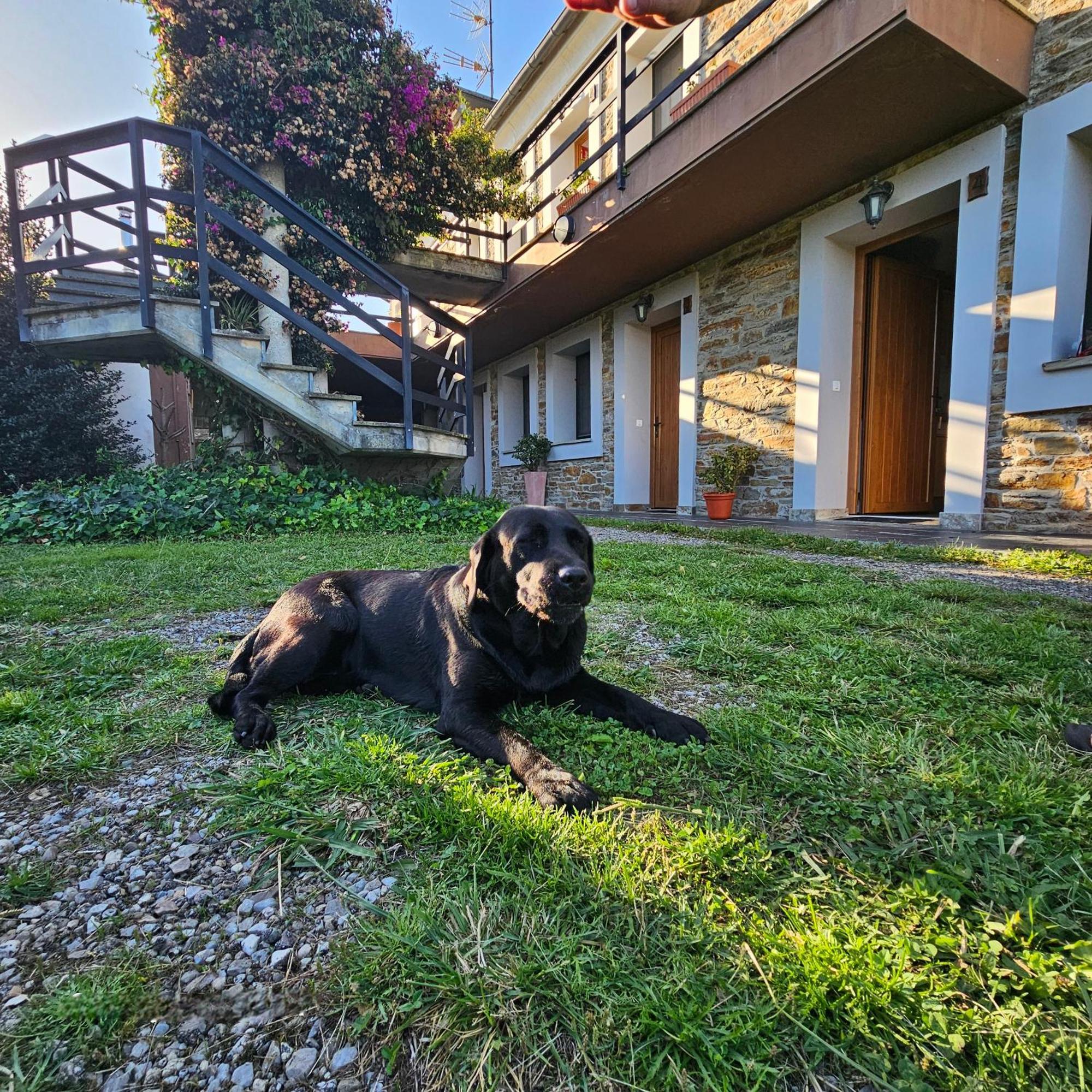 Apartamentos Castello Cartavio Екстериор снимка